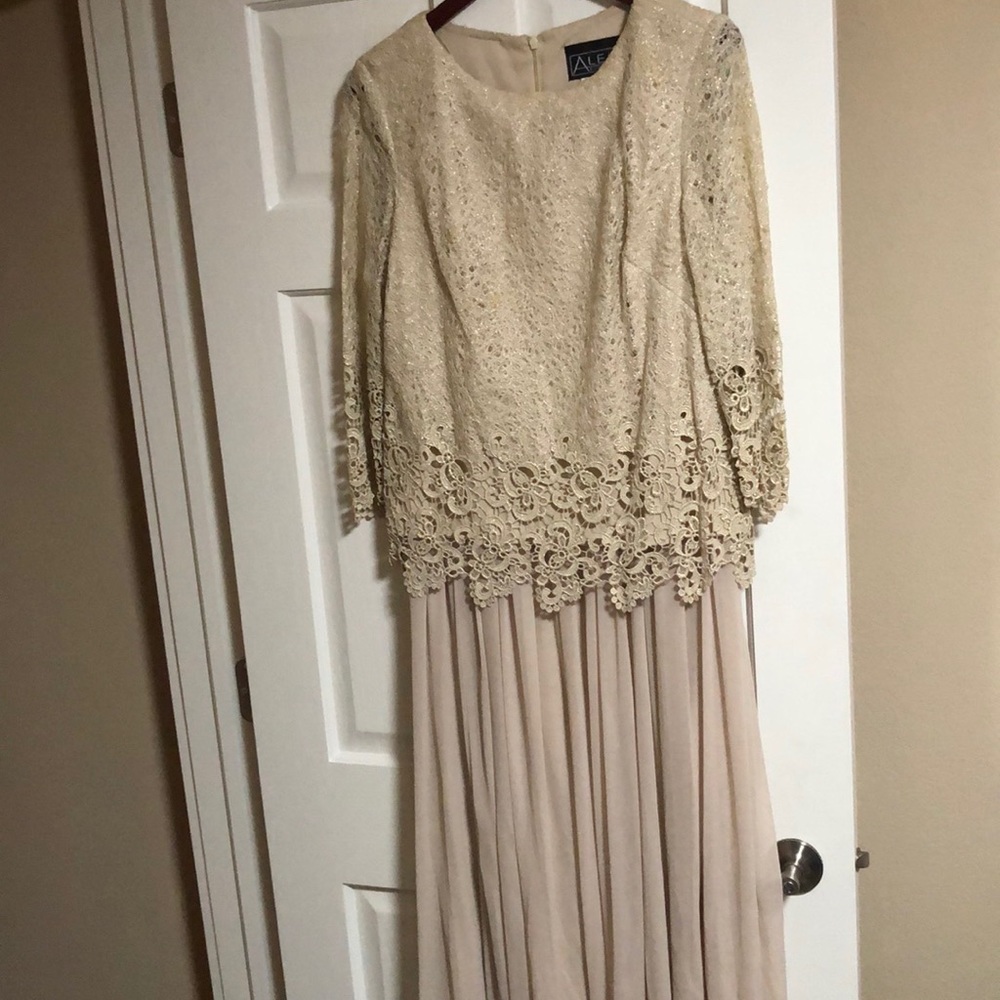 Alex evenings dress